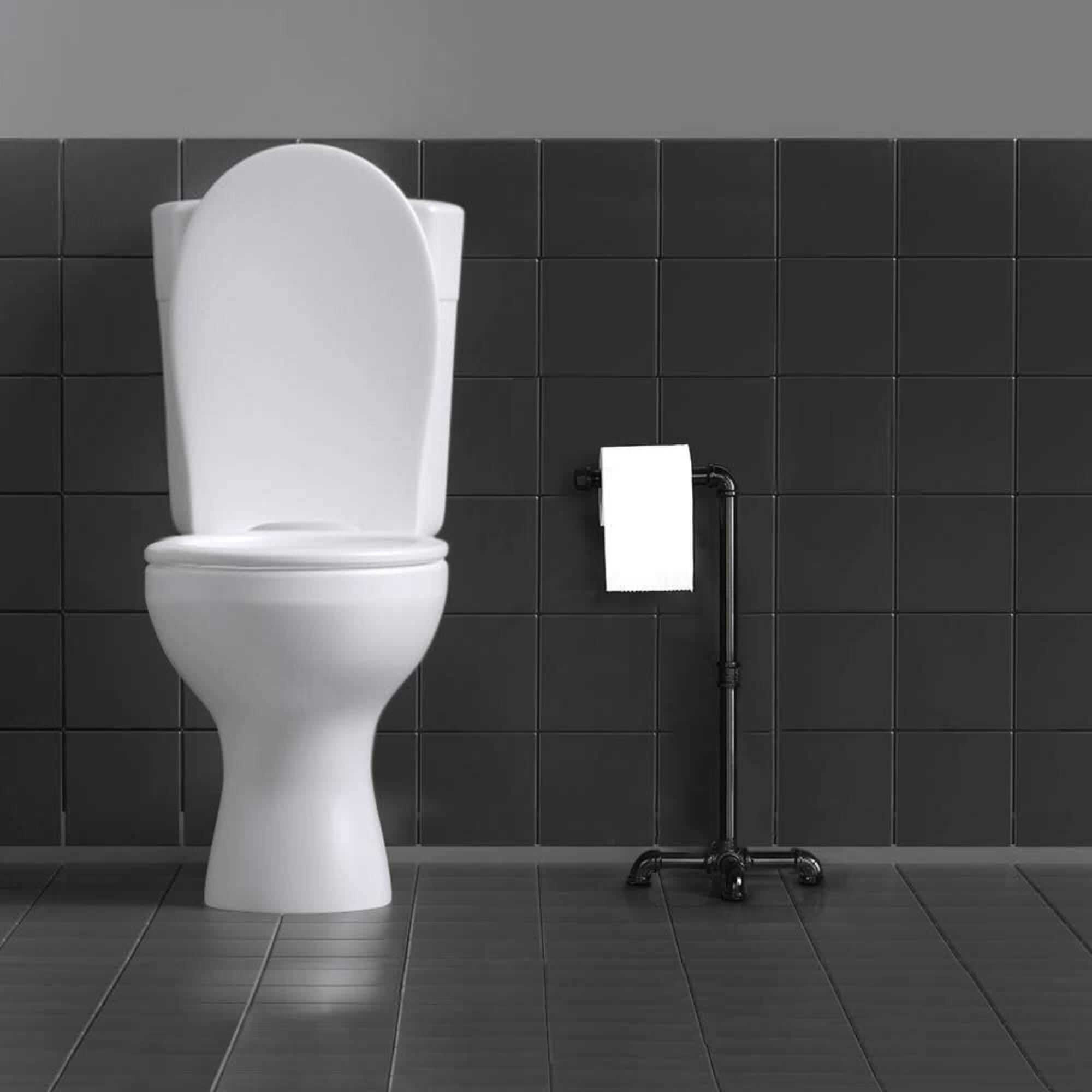 Black Free Standing Toilet Paper Holder Stand